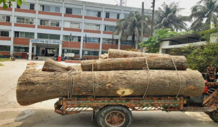 বরিশালের মেহেন্দিগঞ্জে কাঠ ব্যবসায়ীদের বিরুদ্ধে ইজারা না দেওয়ার অভিযোগ