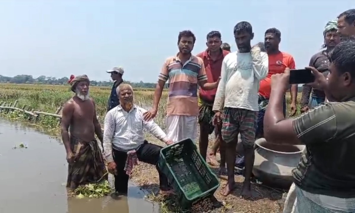 উত্তর সাতলা সততা মৎস্য ঘেরে ৫২ মন পোনামাছ অবমুক্ত